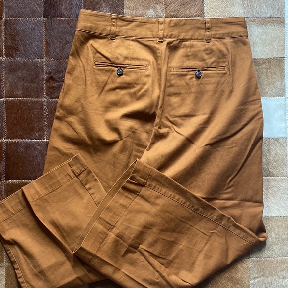 Madewell Wide-leg Pleated Pants, Burnt Sienna - Picture 5 of 7